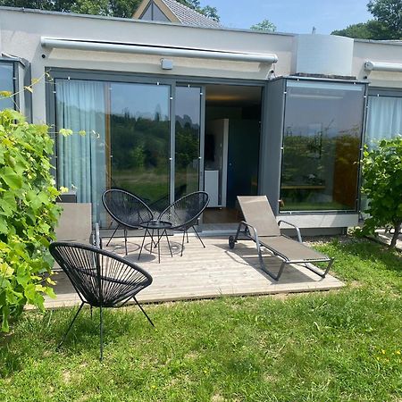 *Brandnew* Modernes Apartment In Den Weinbergen Mit Pool Und Sauna Spielfeld Esterno foto