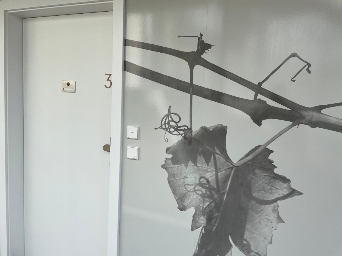 *Brandnew* Modernes Apartment In Den Weinbergen Mit Pool Und Sauna Spielfeld Esterno foto